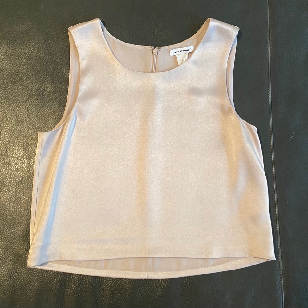 Club Monaco blush silk crop top